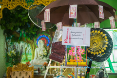 DSC_8613
